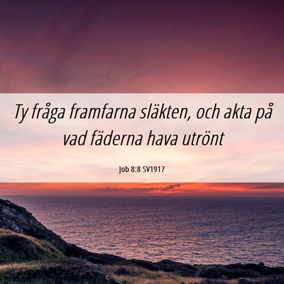 Picture 06 - Job 8:8 SV1917 - Ty fråga framfarna släkten, och akta på vad - Bible Verse Picture
