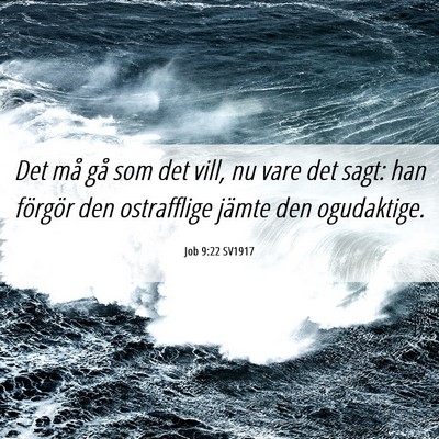 Picture 06 - Job 9:22 SV1917 - Det må gå som det vill, nu vare det sagt: han - Bible Verse Picture
