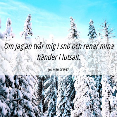 Picture 06 - Job 9:30 SV1917 - Om jag än tvår mig i snö och renar mina - Bible Verse Picture