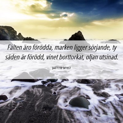 Picture 06 - Joel 1:10 SV1917 - Fälten äro förödda, marken ligger sörjande, - Bible Verse Picture