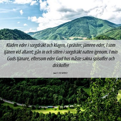 Picture 06 - Joel 1:13 SV1917 - Kläden eder i sorgdräkt och klagen, I präster; - Bible Verse Picture
