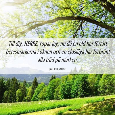 Picture 06 - Joel 1:19 SV1917 - Till dig, HERRE, ropar jag, nu då en eld har - Bible Verse Picture