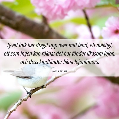 Picture 06 - Joel 1:6 SV1917 - Ty ett folk har dragit upp över mitt land, ett - Bible Verse Picture