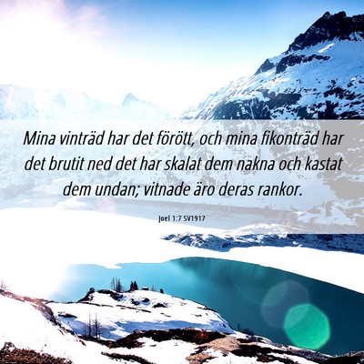 Picture 06 - Joel 1:7 SV1917 - Mina vinträd har det förött, och mina - Bible Verse Picture