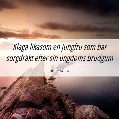 Picture 06 - Joel 1:8 SV1917 - Klaga likasom en jungfru som bär sorgdräkt - Bible Verse Picture
