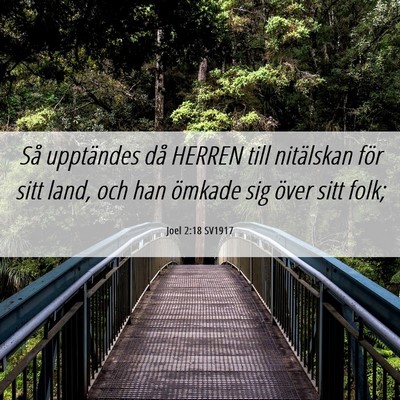 Picture 06 - Joel 2:18 SV1917 - Så upptändes då HERREN till nitälskan för - Bible Verse Picture