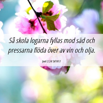 Picture 06 - Joel 2:24 SV1917 - Så skola logarna fyllas mod säd och pressarna - Bible Verse Picture