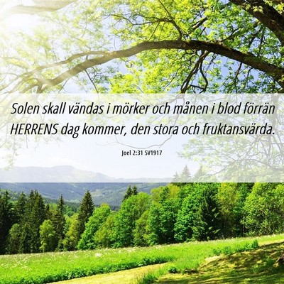 Picture 06 - Joel 2:31 SV1917 - Solen skall vändas i mörker och månen i blod - Bible Verse Picture