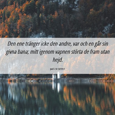 Picture 06 - Joel 2:8 SV1917 - Den ene tränger icke den andre, var och en går - Bible Verse Picture