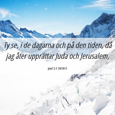 Picture 06 - Joel 3:1 SV1917 - Ty se, i de dagarna och på den tiden, då jag - Bible Verse Picture