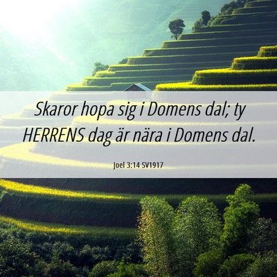 Picture 06 - Joel 3:14 SV1917 - Skaror hopa sig i Domens dal; ty HERRENS dag är - Bible Verse Picture
