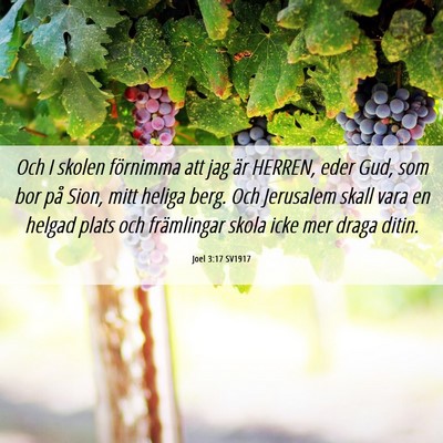 Picture 06 - Joel 3:17 SV1917 - Och I skolen förnimma att jag är HERREN, eder - Bible Verse Picture