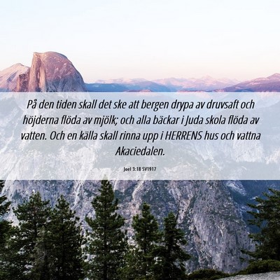 Picture 06 - Joel 3:18 SV1917 - På den tiden skall det ske att bergen drypa av - Bible Verse Picture