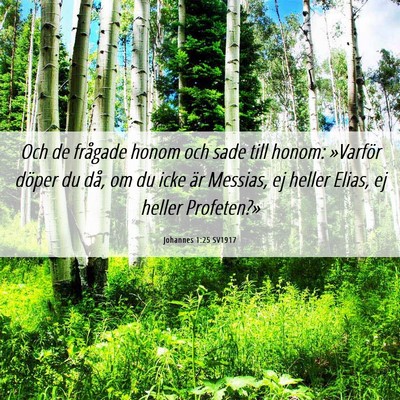 Picture 06 - Johannes 1:25 SV1917 - Och de frågade honom och sade till honom: - Bible Verse Picture