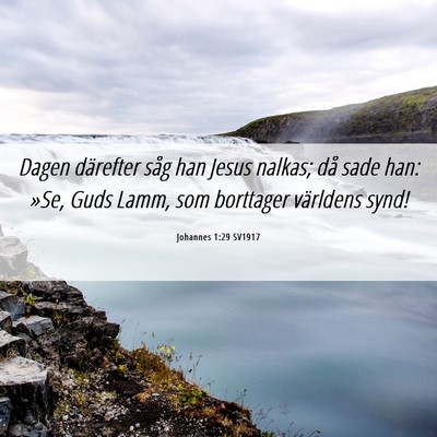 Picture 06 - Johannes 1:29 SV1917 - Dagen därefter såg han Jesus nalkas; då sade - Bible Verse Picture