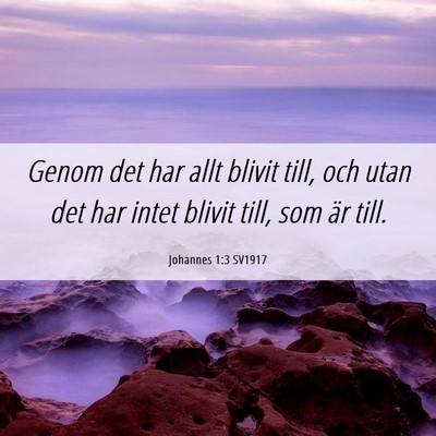 Picture 06 - Johannes 1:3 SV1917 - Genom det har allt blivit till, och utan det har - Bible Verse Picture