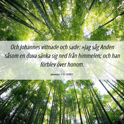 Picture 06 - Johannes 1:32 SV1917 - Och Johannes vittnade och sade: »Jag såg Anden - Bible Verse Picture