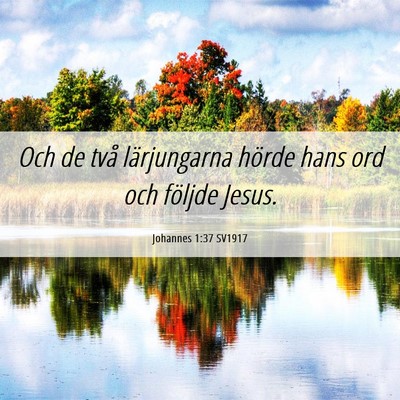 Picture 06 - Johannes 1:37 SV1917 - Och de två lärjungarna hörde hans ord och - Bible Verse Picture