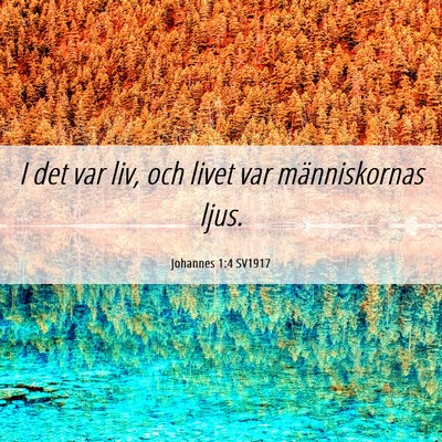 Picture 06 - Johannes 1:4 SV1917 - I det var liv, och livet var människornas - Bible Verse Picture
