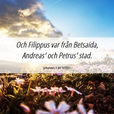 Picture 06 - Johannes 1:44 SV1917 - Och Filippus var från Betsaida, Andreas' och - Bible Verse Picture