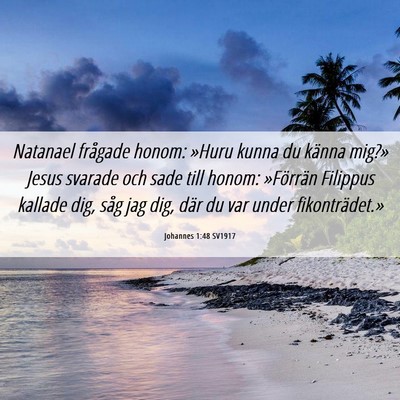 Picture 06 - Johannes 1:48 SV1917 - Natanael frågade honom: »Huru kunna du känna - Bible Verse Picture
