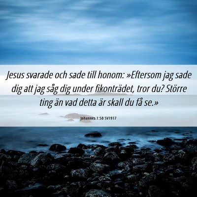 Picture 06 - Johannes 1:50 SV1917 - Jesus svarade och sade till honom: »Eftersom jag - Bible Verse Picture