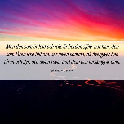 Picture 06 - Johannes 10:12 SV1917 - Men den som är lejd och icke är herden själv, - Bible Verse Picture