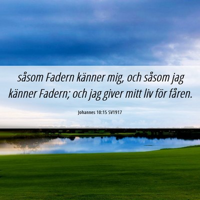 Picture 06 - Johannes 10:15 SV1917 - såsom Fadern känner mig, och såsom jag känner - Bible Verse Picture