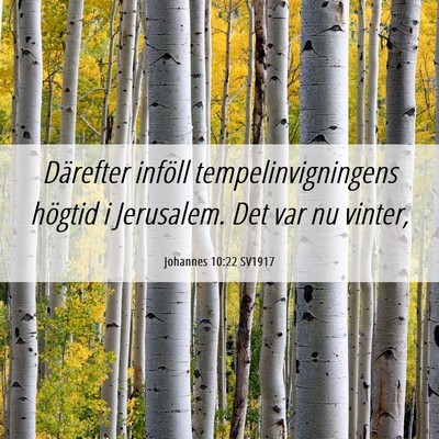 Picture 06 - Johannes 10:22 SV1917 - Därefter inföll tempelinvigningens högtid i - Bible Verse Picture