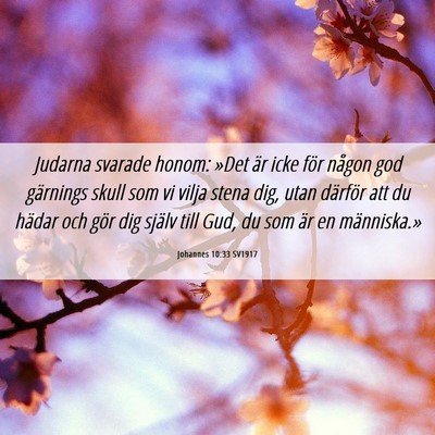 Picture 06 - Johannes 10:33 SV1917 - Judarna svarade honom: »Det är icke för någon - Bible Verse Picture
