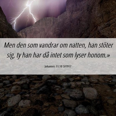 Picture 06 - Johannes 11:10 SV1917 - Men den som vandrar om natten, han stöter sig, - Bible Verse Picture