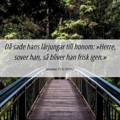 Picture 06 - Johannes 11:12 SV1917 - Då sade hans lärjungar till honom: »Herre, - Bible Verse Picture