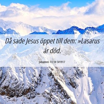Picture 06 - Johannes 11:14 SV1917 - Då sade Jesus öppet till dem: »Lasarus är - Bible Verse Picture