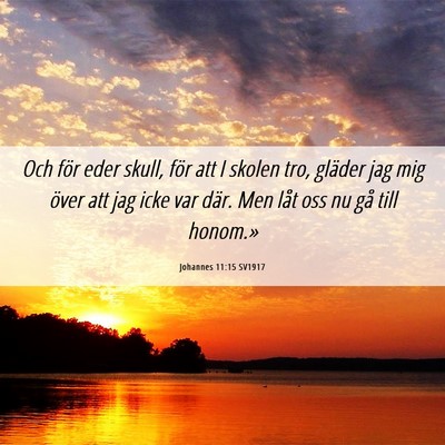 Picture 06 - Johannes 11:15 SV1917 - Och för eder skull, för att I skolen tro, - Bible Verse Picture