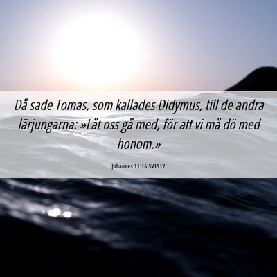Picture 06 - Johannes 11:16 SV1917 - Då sade Tomas, som kallades Didymus, till de - Bible Verse Picture
