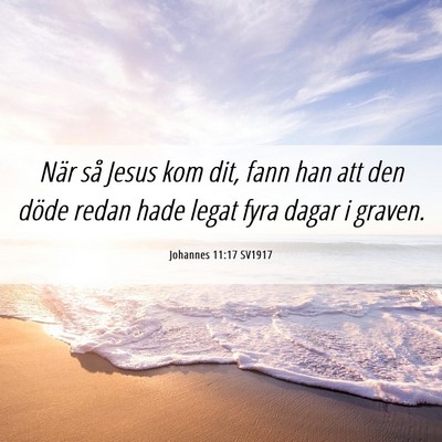 Picture 06 - Johannes 11:17 SV1917 - När så Jesus kom dit, fann han att den döde - Bible Verse Picture