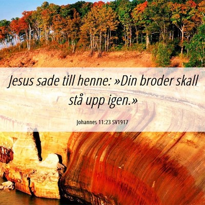 Picture 06 - Johannes 11:23 SV1917 - Jesus sade till henne: »Din broder skall stå - Bible Verse Picture
