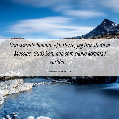 Picture 06 - Johannes 11:27 SV1917 - Hon svarade honom: »Ja, Herre, jag tror att du - Bible Verse Picture
