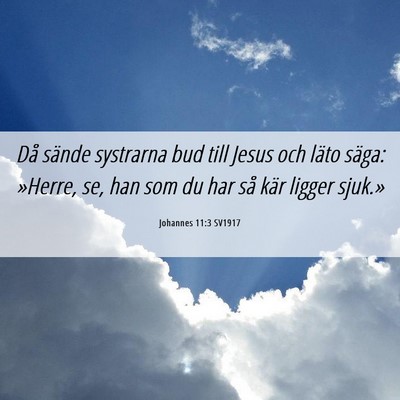 Picture 06 - Johannes 11:3 SV1917 - Då sände systrarna bud till Jesus och läto - Bible Verse Picture
