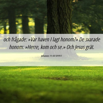 Picture 06 - Johannes 11:34 SV1917 - och frågade: »Var haven I lagt honom?» De - Bible Verse Picture
