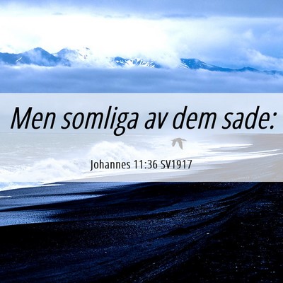 Picture 06 - Johannes 11:36 SV1917 - Men somliga av dem - Bible Verse Picture