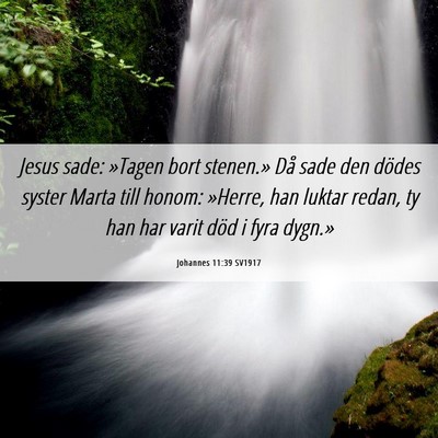 Picture 06 - Johannes 11:39 SV1917 - Jesus sade: »Tagen bort stenen.» Då sade den - Bible Verse Picture