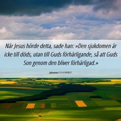 Picture 06 - Johannes 11:4 SV1917 - När Jesus hörde detta, sade han: »Den - Bible Verse Picture