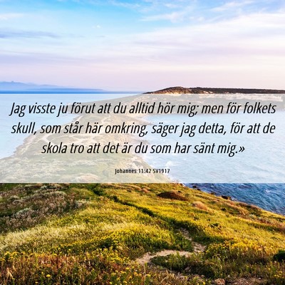 Picture 06 - Johannes 11:42 SV1917 - Jag visste ju förut att du alltid hör mig; men - Bible Verse Picture