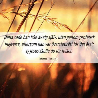 Picture 06 - Johannes 11:51 SV1917 - Detta sade han icke av sig själv, utan genom - Bible Verse Picture