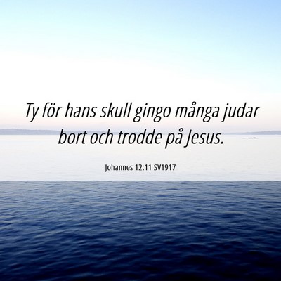 Picture 06 - Johannes 12:11 SV1917 - Ty för hans skull gingo många judar bort och - Bible Verse Picture