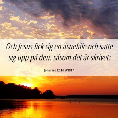 Picture 06 - Johannes 12:14 SV1917 - Och Jesus fick sig en åsnefåle och satte sig - Bible Verse Picture