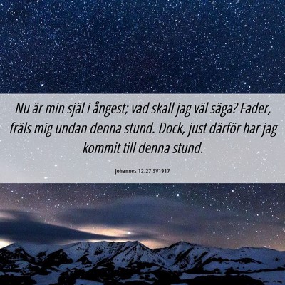 Picture 06 - Johannes 12:27 SV1917 - Nu är min själ i ångest; vad skall jag väl - Bible Verse Picture