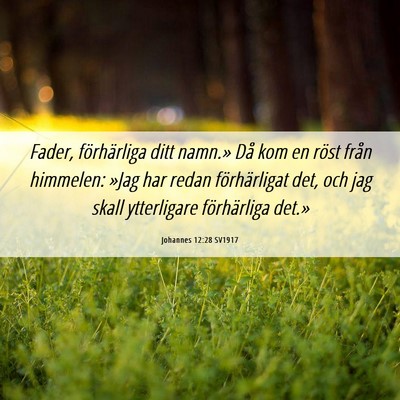 Picture 06 - Johannes 12:28 SV1917 - Fader, förhärliga ditt namn.» Då kom en röst - Bible Verse Picture