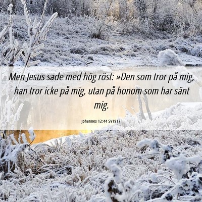 Picture 06 - Johannes 12:44 SV1917 - Men Jesus sade med hög röst: »Den som tror på - Bible Verse Picture
